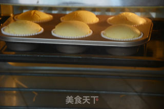 玫瑰花巧克力奶油小蛋糕的做法步骤：9