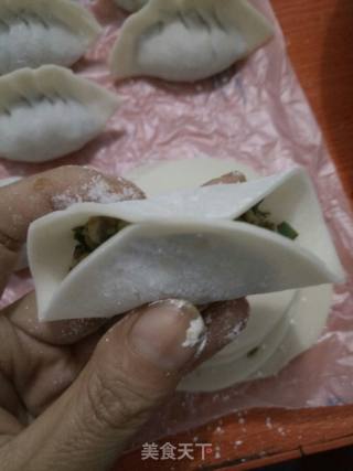 茴香韭菜肉饺子的做法步骤：5