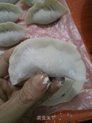 茴香韭菜肉饺子的做法步骤：6