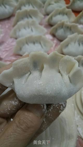 茴香韭菜肉饺子的做法步骤：8