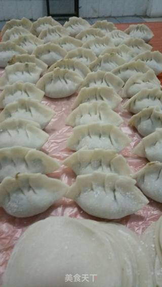 茴香韭菜肉饺子的做法步骤：9