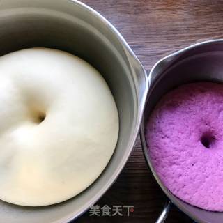 紫薯双色吐司的做法步骤：8