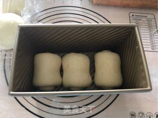 中种炼乳吐司的做法步骤：16