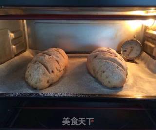 黑麦奶酪包的做法步骤：20