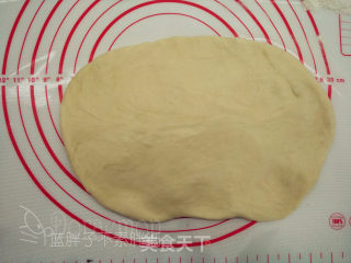 椰蓉辫子排包的做法步骤：7