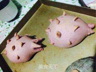 真假火龙果面包的做法步骤：16