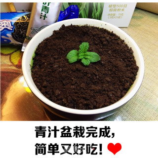 夏季冰饮——青汁盆栽的做法步骤：4