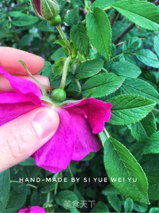 玫瑰花茶的做法步骤：1