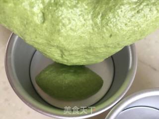 酸奶菠菜蛋糕的做法步骤：13