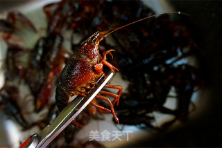 香炒龙虾----详细清理龙虾全过程值得你拥有的做法步骤：2