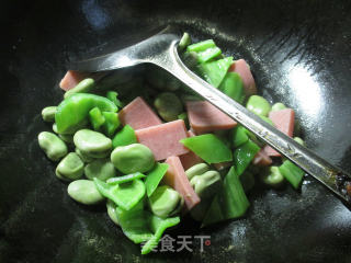 尖椒方腿肉炒蚕豆的做法步骤：8