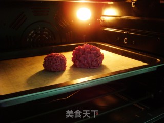 绣球花环饼干的做法步骤：17
