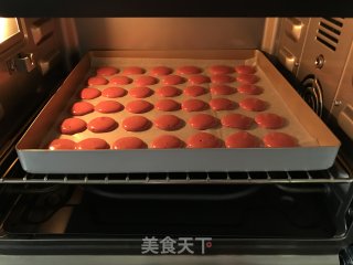 奶酪软曲奇的做法步骤：11