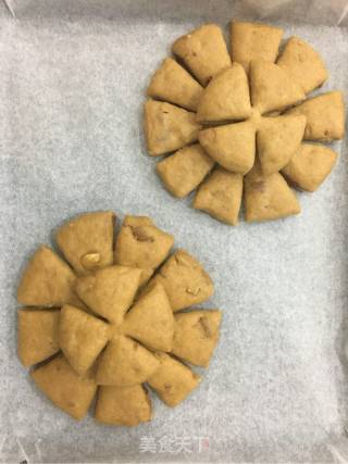 核桃梅花软欧包的做法步骤：10
