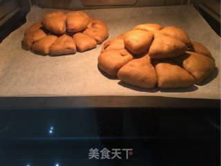 核桃梅花软欧包的做法步骤：11