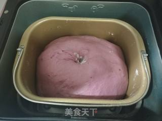 紫薯面包的做法步骤：6