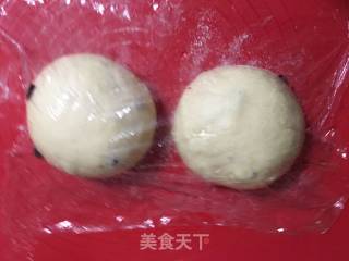 蔓越莓椰蓉吐司的做法步骤：8