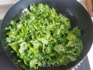 蒜蓉苋菜的做法步骤：5