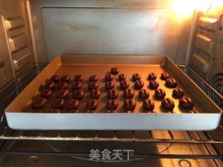咖啡豆豆饼干的做法步骤：11