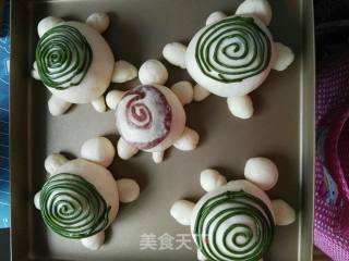 乌龟面包的做法步骤：11