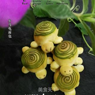 乌龟面包的做法步骤：14