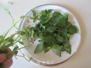 荆芥拌木耳的做法步骤：3