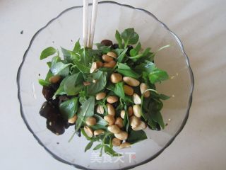 荆芥拌木耳的做法步骤：7