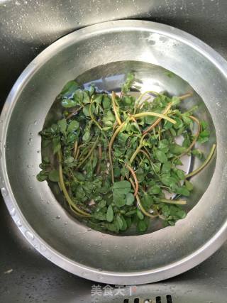 凉拌马齿苋的做法步骤：3