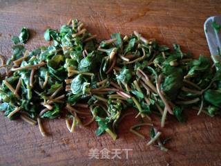 凉拌马齿苋的做法步骤：4