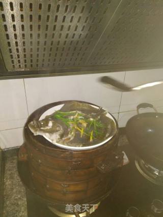 清蒸多宝鱼的做法步骤：4