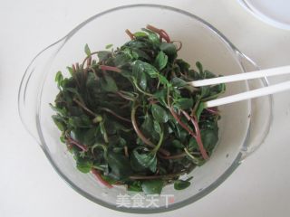 皮蛋拌马齿苋的做法步骤：5