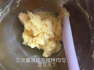蔓越莓饼干的做法步骤：4