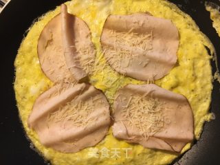 鸡胸肉芝士蛋饼的做法步骤：5