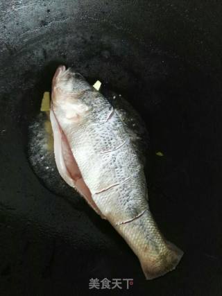 红烧鲈鱼的做法步骤：3