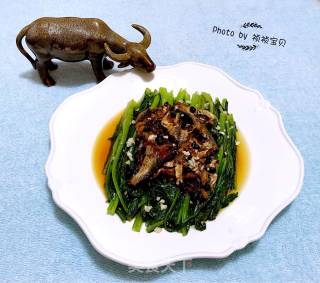 豆豉鲮鱼油麦菜的做法步骤：10