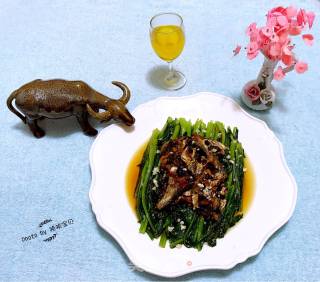 豆豉鲮鱼油麦菜的做法步骤：12