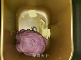 紫薯餐包的做法步骤：4