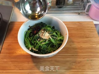 凉拌粉丝菠菜的做法步骤：5