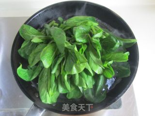 蒜蓉蚝油菜芯的做法步骤：4