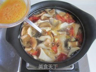 猪肚菇番茄蛋花汤的做法步骤：8