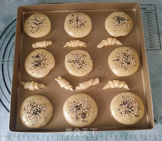 桑茸黑芝麻酥烧饼的做法步骤：15