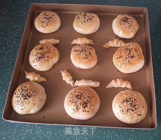 桑茸黑芝麻酥烧饼的做法步骤：18