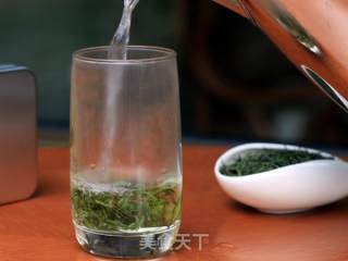 蒿稀绿紫阳毛尖的做法步骤：3