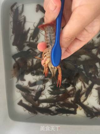 香辣小龙虾的做法步骤：3