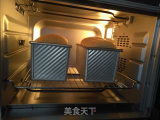 波兰种全麦吐司的做法步骤：16