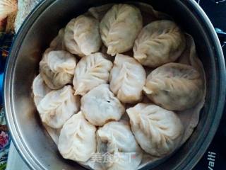 朝阳冬瓜馅大蒸饺的做法步骤：5