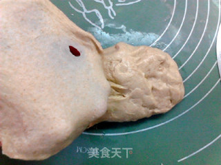 蔓越莓全麦胚芽软欧的做法步骤：4