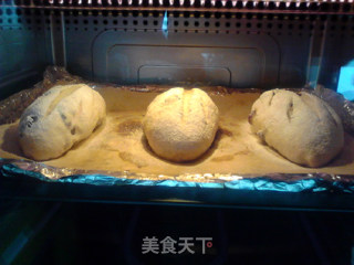 蔓越莓全麦胚芽软欧的做法步骤：13