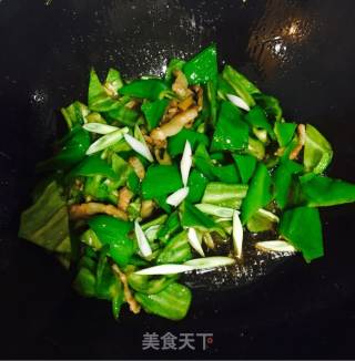 青椒炒肉的做法步骤：8