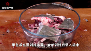 青椒焖甲鱼的做法步骤：2